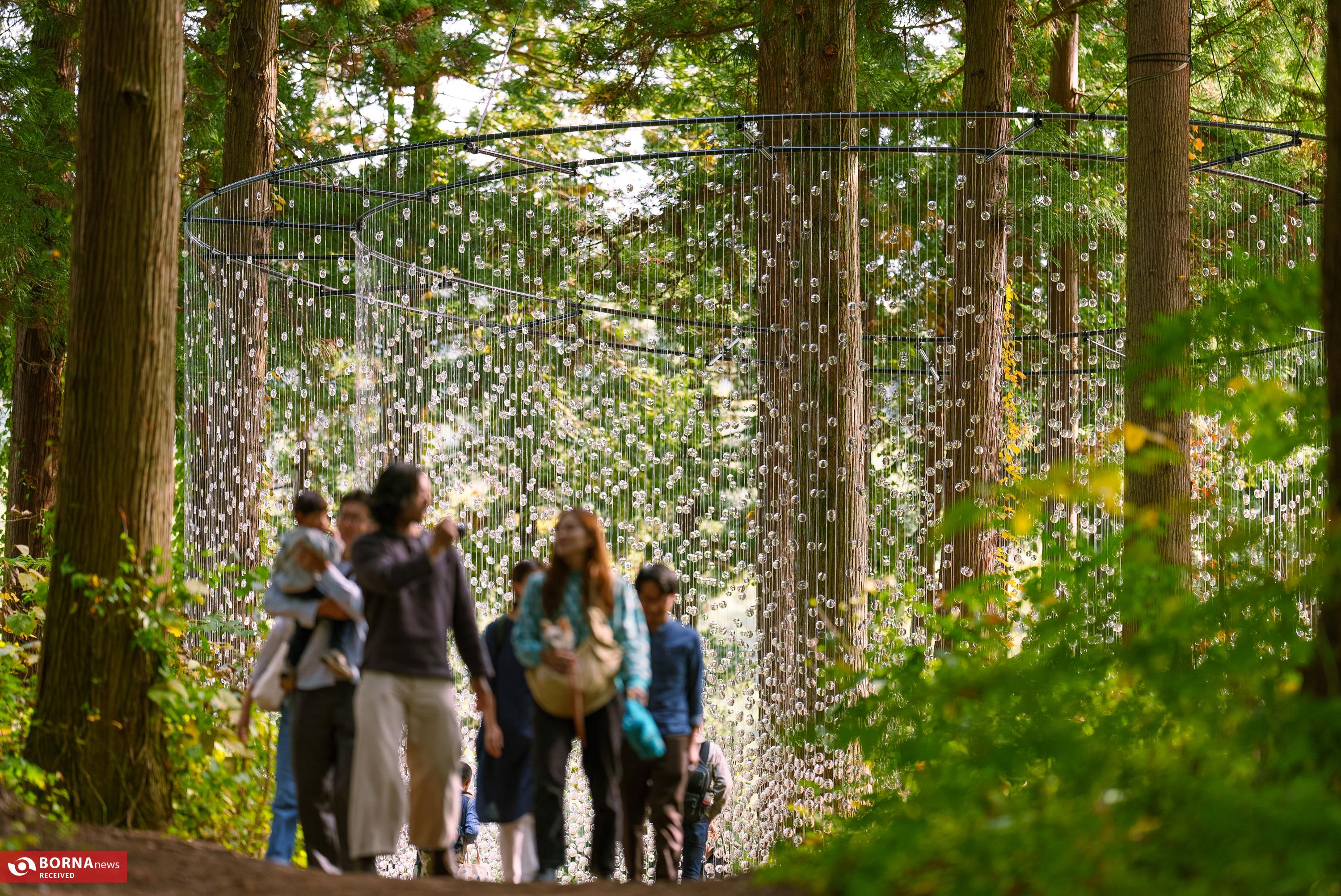 ۱۴۰۰۰ عدسی عینک در دل جنگل؛ وقتی هنر و طبیعت با هم نجوا می‌کنند