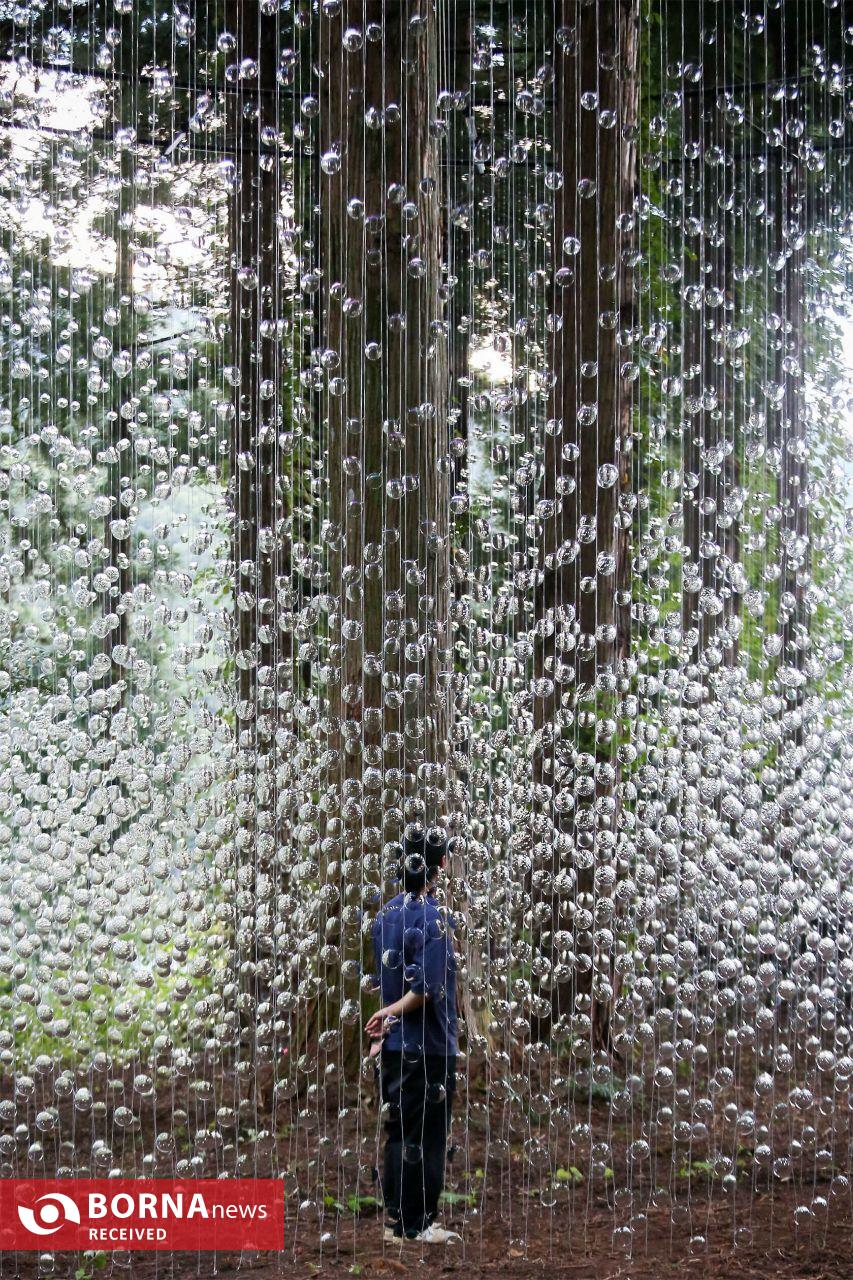 ۱۴۰۰۰ عدسی عینک در دل جنگل؛ وقتی هنر و طبیعت با هم نجوا می‌کنند