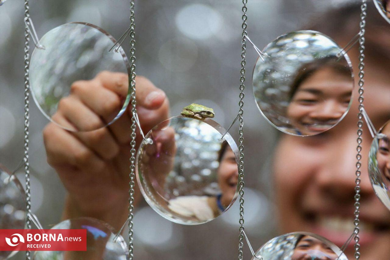 ۱۴۰۰۰ عدسی عینک در دل جنگل؛ وقتی هنر و طبیعت با هم نجوا می‌کنند