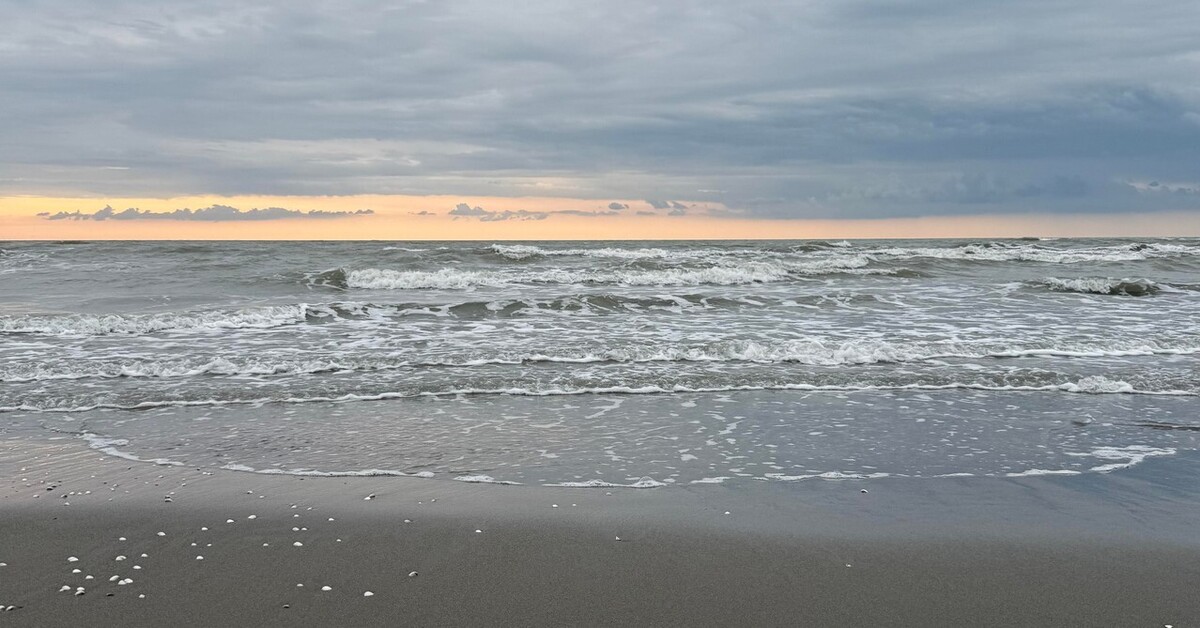 سازمان هواشناسی: بارش‌ها در استان‌های ساحلی خزر ادامه دارد