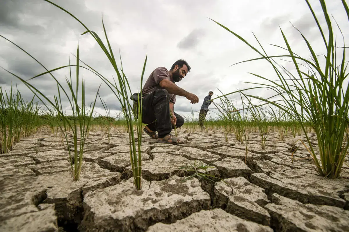 رئیس فدراسیون صنعت آب: بحران آب جدی است، اما برنامه‌ها همچنان تغییری نکرده‌اند