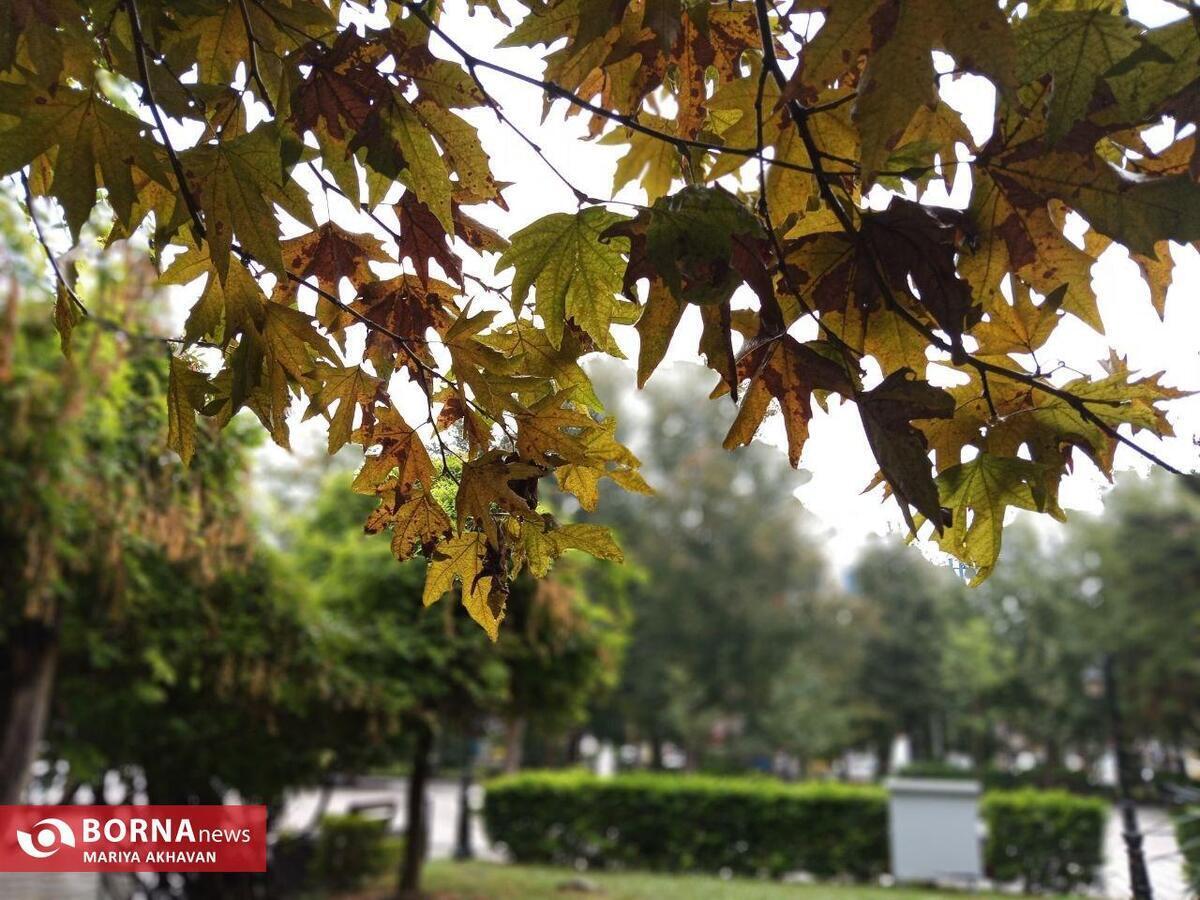 هشدار سطح نارنجی هواشناسی؛ کاهش ۴ تا ۸ درجه‌ای دما در گیلان از عصر امروز