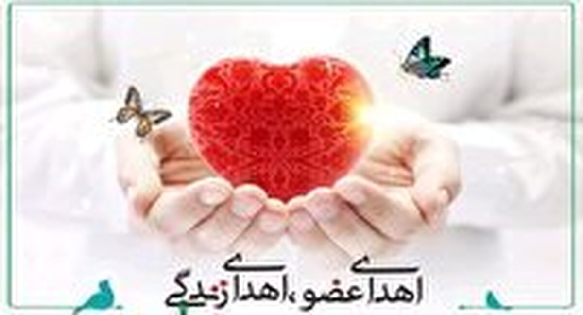 جان بخشی کودک ۵ و نیم ساله به سه بیمار