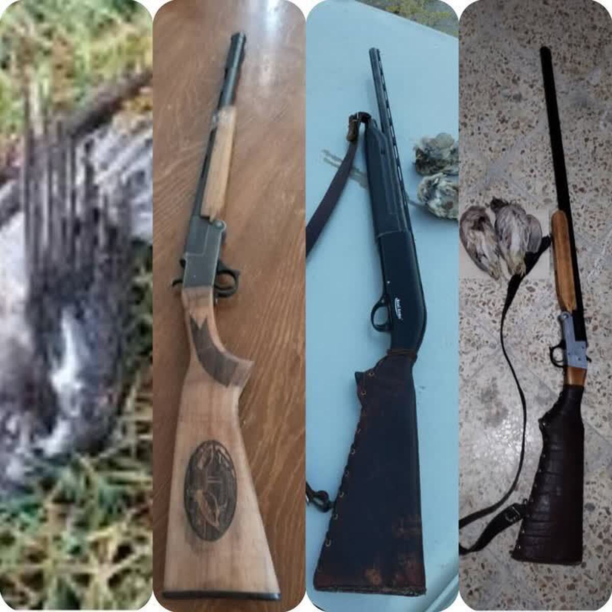 دستگیری ۳ شکارچی در مناطق حفاظت شده گچساران