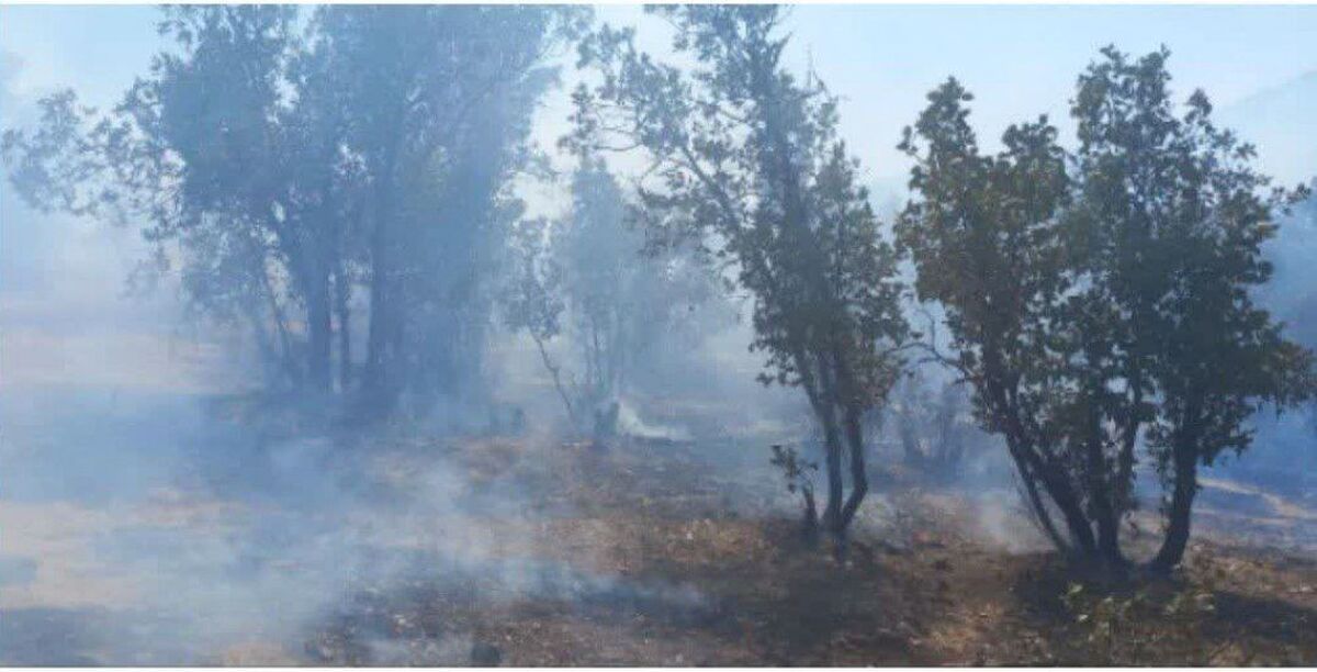 آتش سوزی در جنگل‌های چگنی لرستان مهار شد