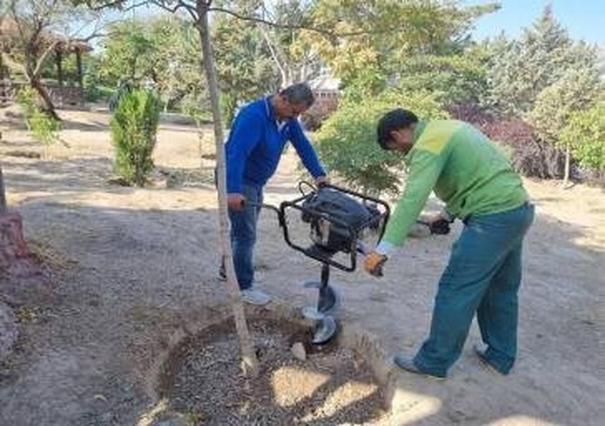 اجرای عملیات کندوکوب و چالکود درختان در سطح شهر تبریز