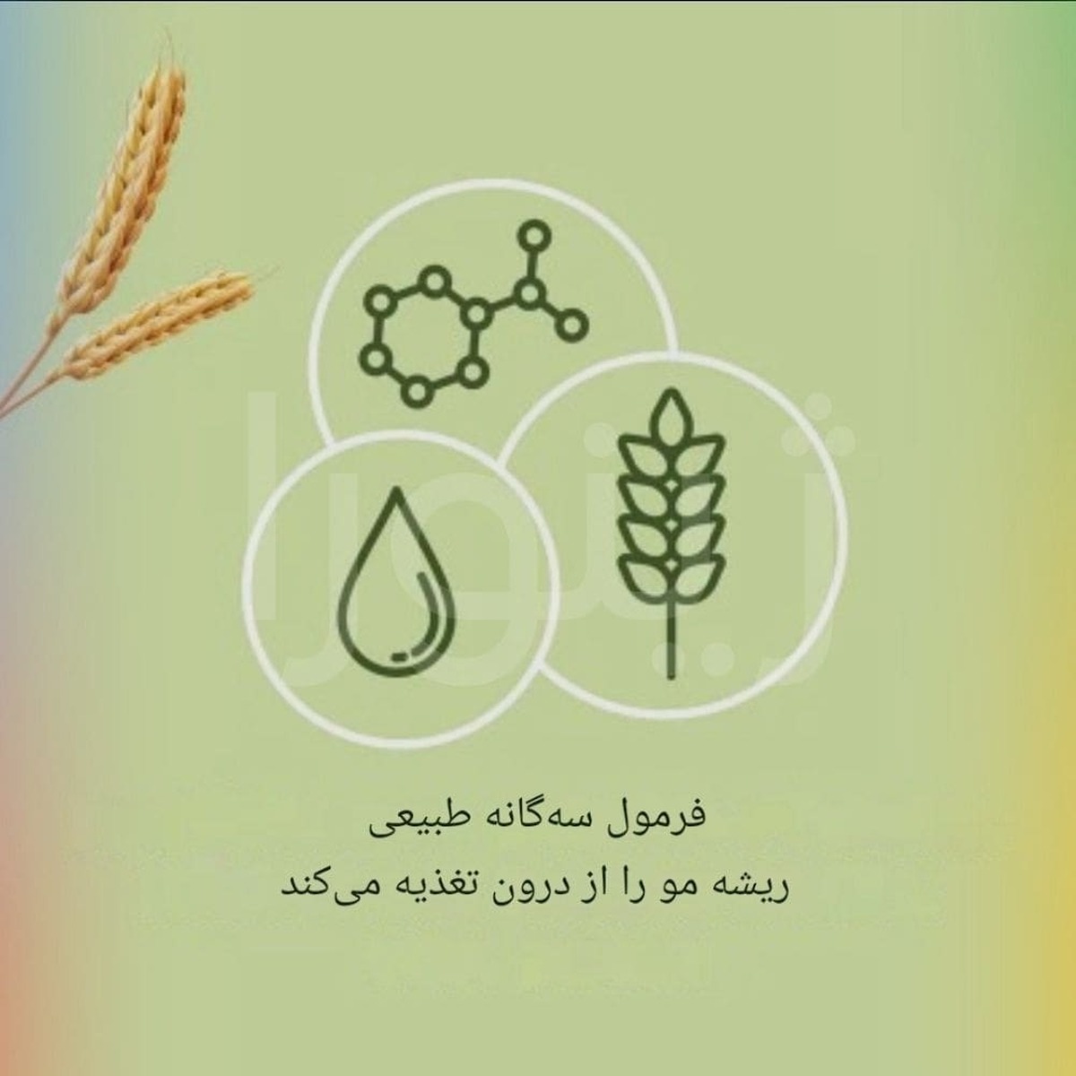 قرص پریورین چیست؟ [از نتایج باورنکردنی تا عوارض پنهان]