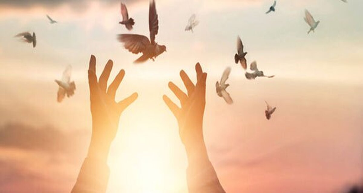 کمک نیکوکار محلاتی برای آزادی زندانیان جرائم غیر عمد