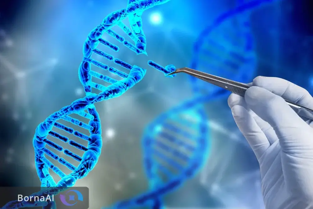 دانشمندان مسلمان ناجیان سلامت بشر در جهان دانشمندان مسلمان ناجیان سلامت بشر در جهان