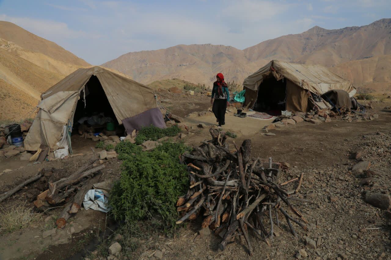 آغاز کوچ پاییزه خانوارهای عشایری استان قزوین