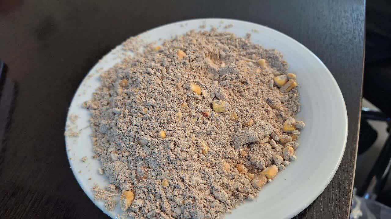 نژاد جوجه آرین بلای جان مرغداران استان قزوین/دست واسطه ها و دلالان را قطع کنید