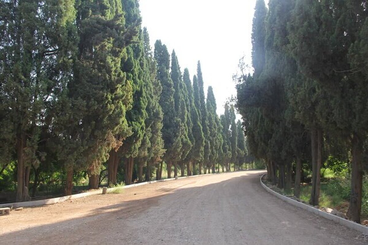 چوبینی: باغ تاریخی سه‌گوش شیراز توسعه می‌یابد