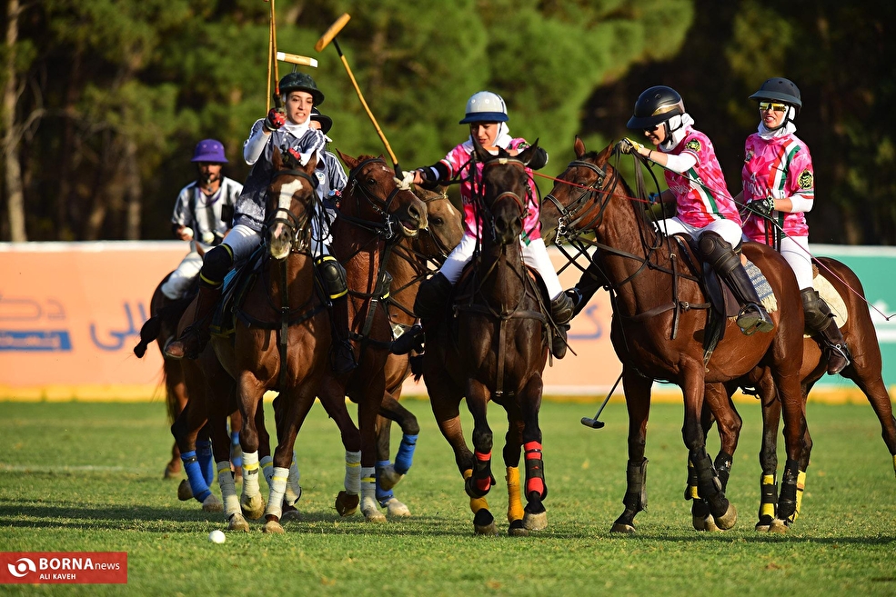 لیگ چوگان زنان  - جام زنبق