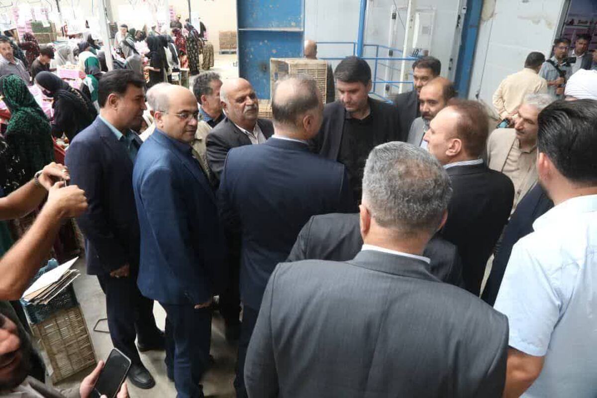 بازدید معاون وزیر جهاد کشاورزی از پایانه سورت و بسته‌بندی گوجه‌فرنگی تاکستان