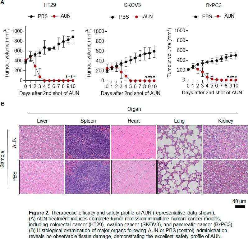 نابودی تومور بدون نیاز به سیستم ایمنی