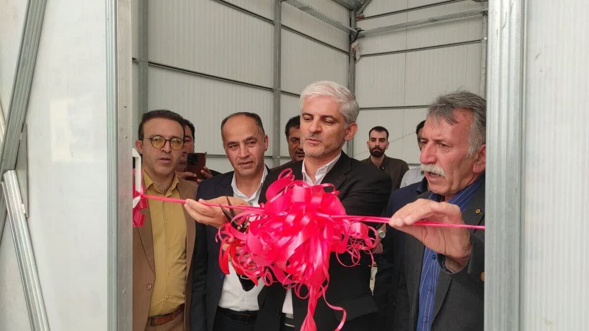 افتتاح پروژه اول گلخانه گل رز در ازنا به مناسبت هفته دولت