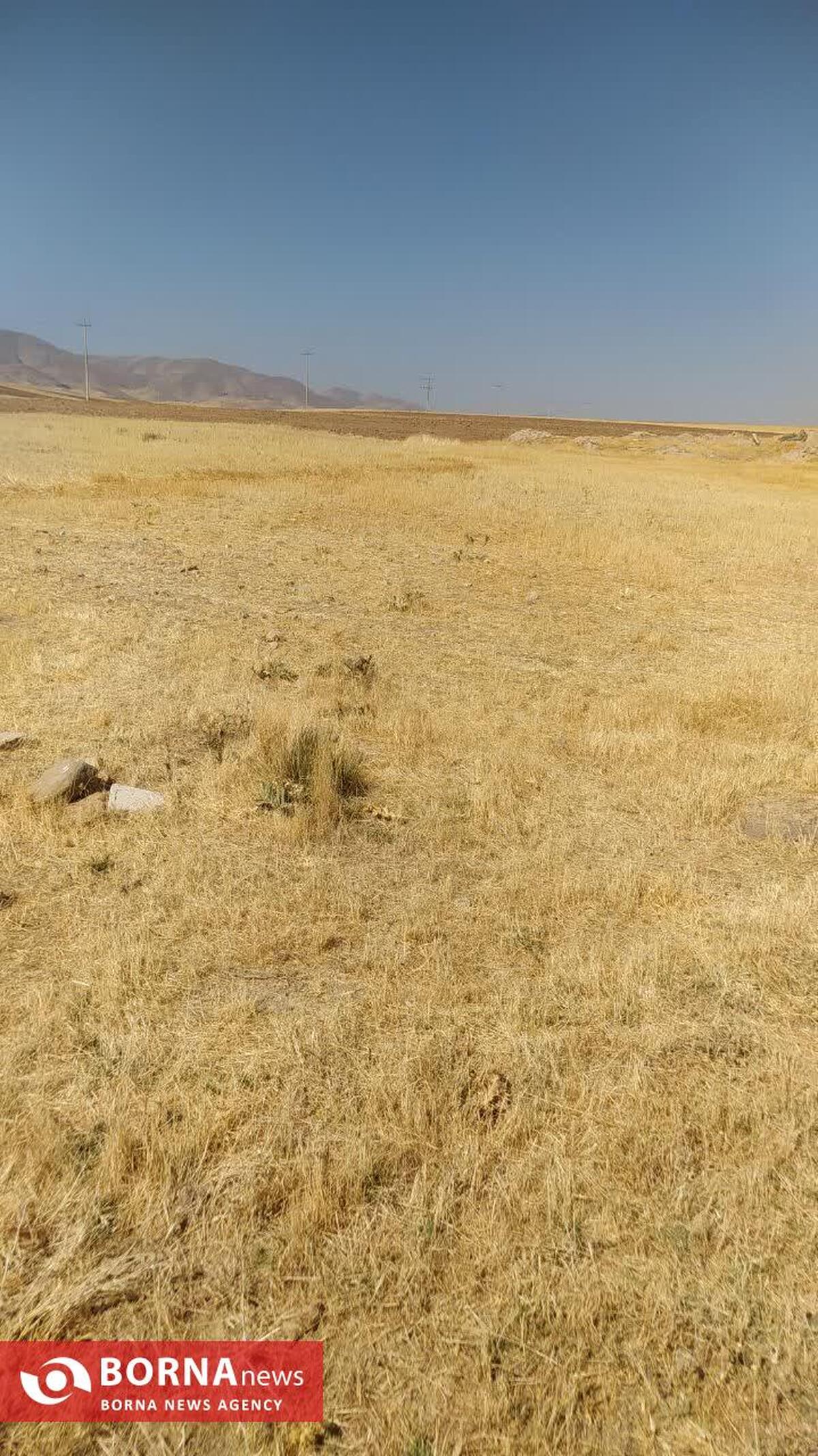 ۳.۶ هکتار زمین ملی ثلاث باباجانی طی مردادماه به بیت‌المال بازگشت/ اخطار جدی به زمین‌خواران