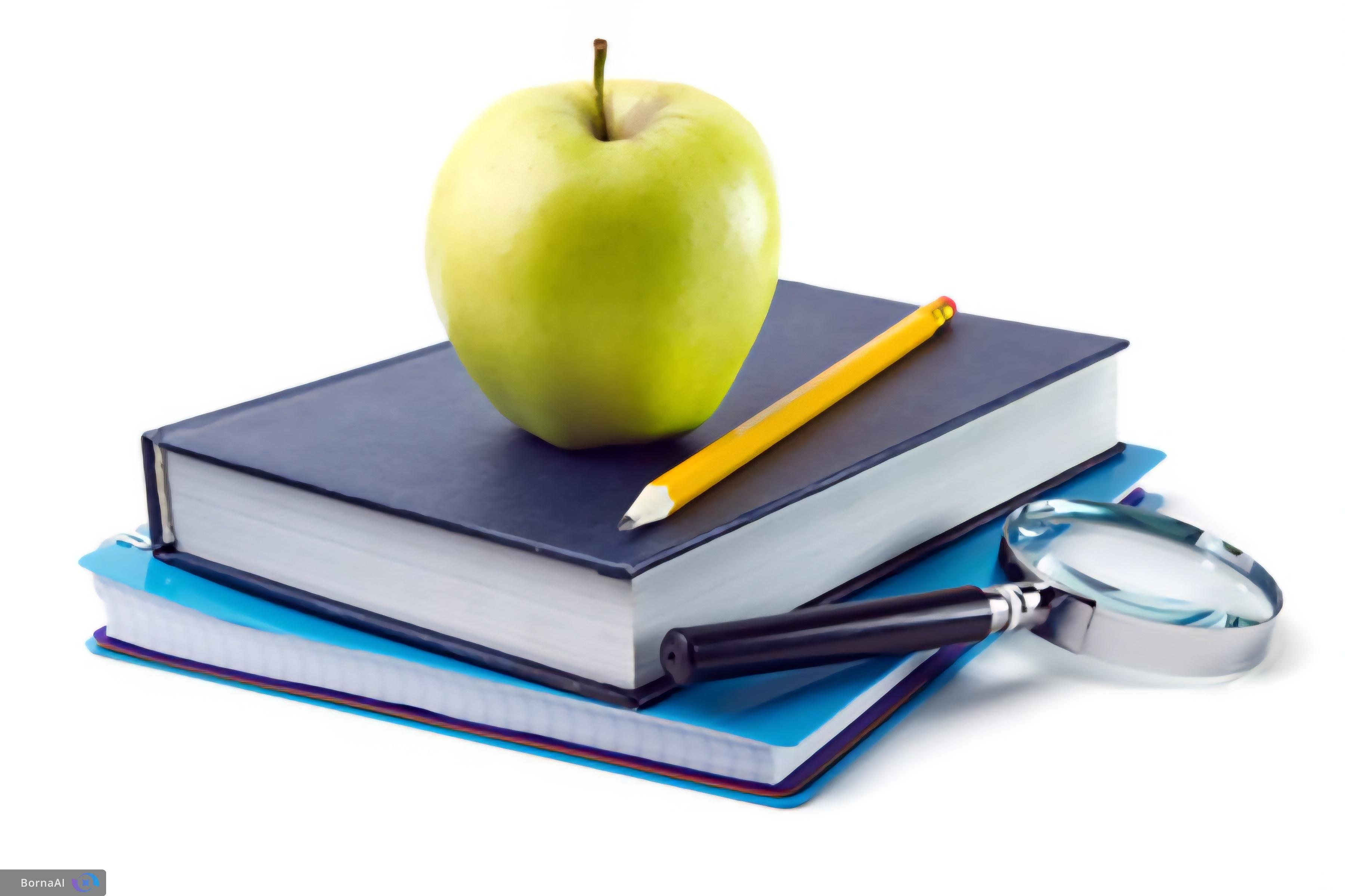 رشد ۴۰ درصدی طرح‌های مصوب بنیاد ملی علم ایران در یک سال