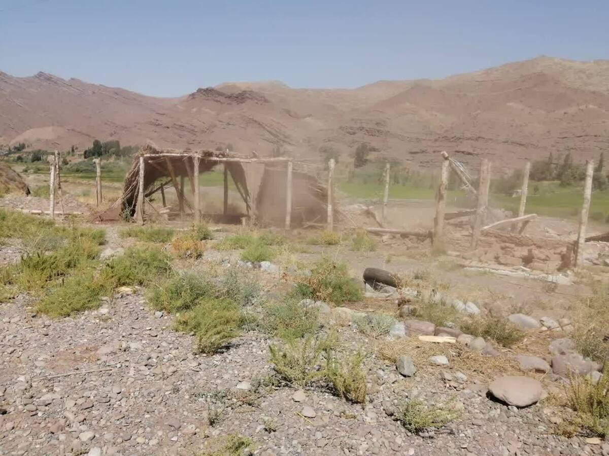 اجرای حکم تخریب ساخت و ساز غیر مجاز در مجاورت روگذر حیات وحش