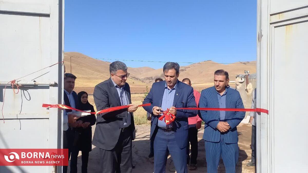 افتتاح گاوداری ۱۰۰ رأسی در کنگاور