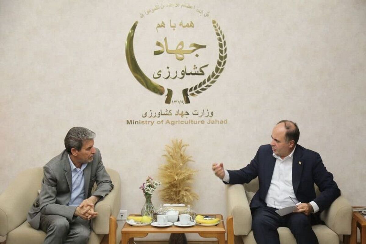 وزیر جهاد: سهمیه ویژه نهاده‌های دامی به خراسان شمالی تخصیص می‌یابد