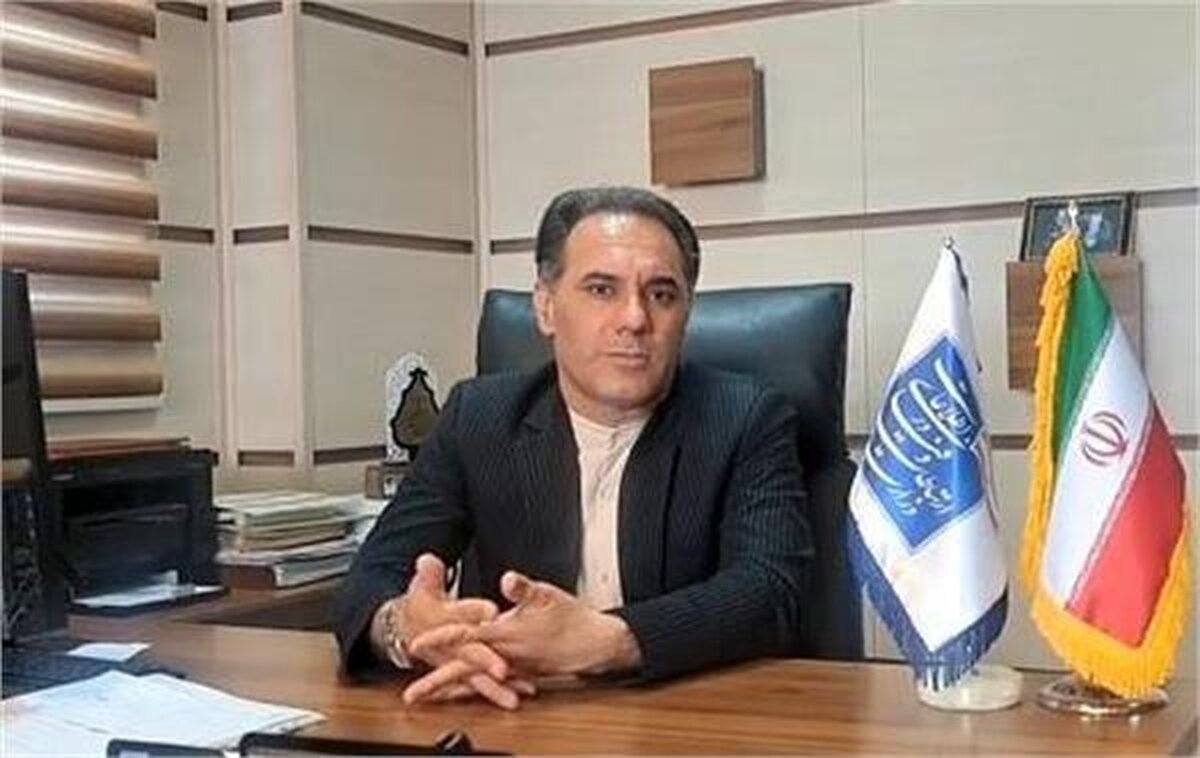 سلیمان پور:  ۱۰۸ فقره تخلف دفاتر پیشخوان خدمات شهری و روستایی فارس رسیدگی شد