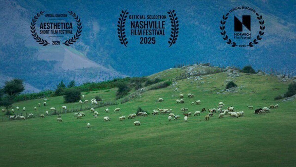 «گوسفند» در ۳ جشنواره‌ بین‌المللی