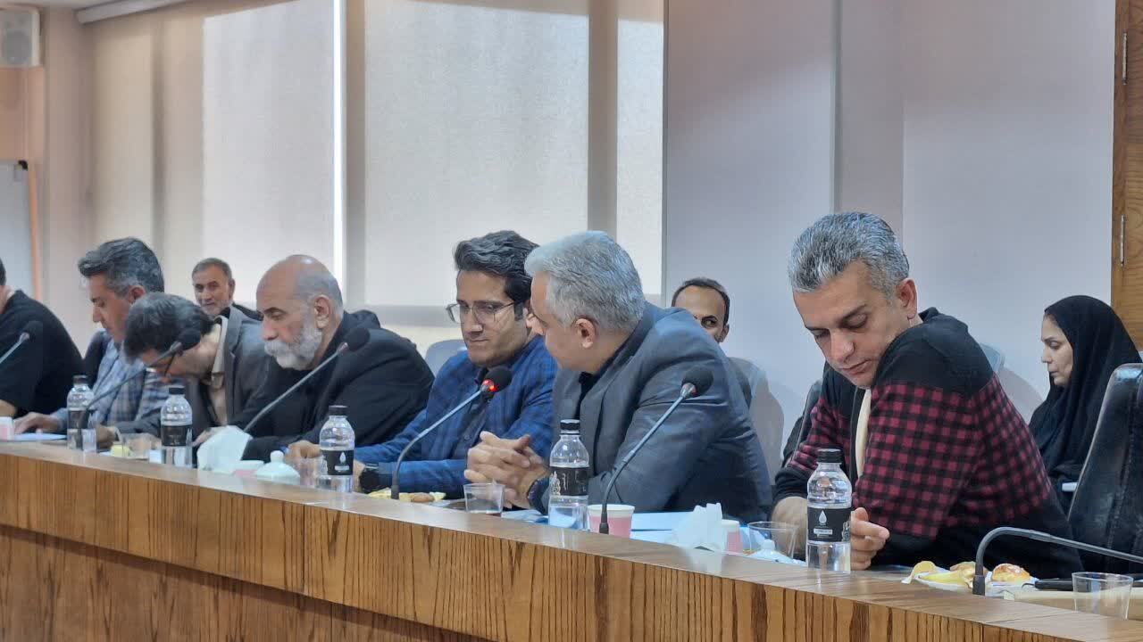 معدنکاران استان قزوین مطالبات خود را با معاون وزیر صمت در میان گذاشتند 