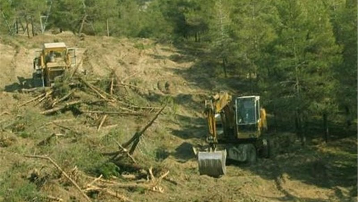 بازگردانی ۲۴۵ هکتار از اراضی ملی از ابتدای امسال تاکنون