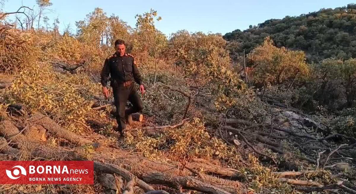 درگیری مسلحانه در جنگل‌های فیروزآباد کرمانشاه با سودجویان چوب و زغال/ متخلفان تحت تعقیب قانونی قرار گرفتند