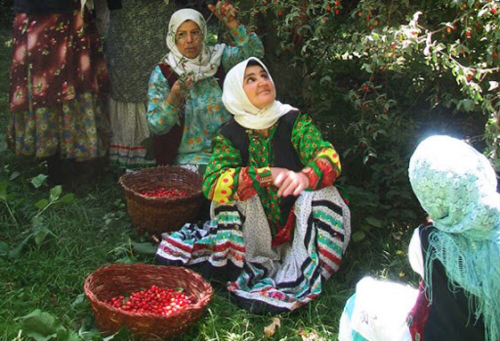 مستند «شکرانه: با محور معرفی روستای هیر و زغال اخته آن از سیمای قزوین پخش می شود 