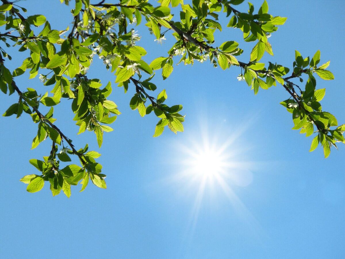 جوی پایدار در بیشتر مناطق کشور طی پنج روز آینده