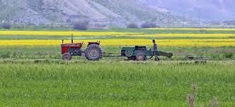 اجرای طرح الگوی کشت در قم و کاهش قابل توجه مصرف آب