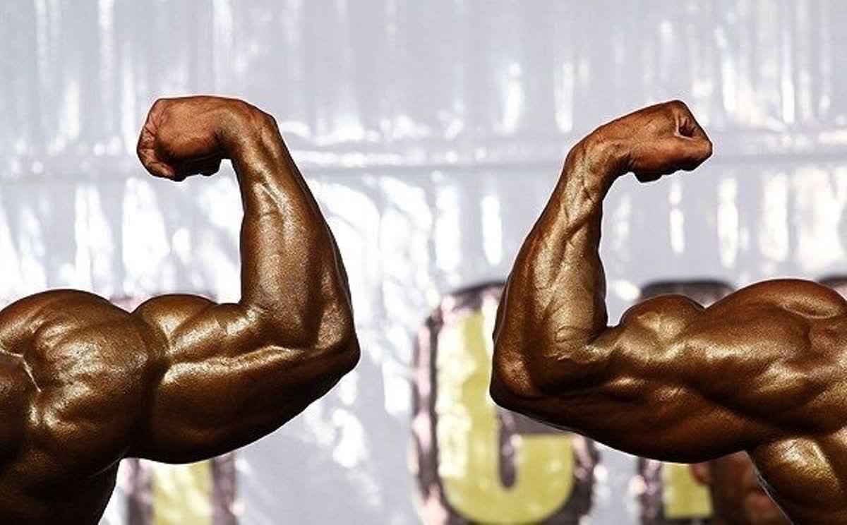 درخشش ورزشکاران خوزستانی در مسابقات پرورش اندام کشور