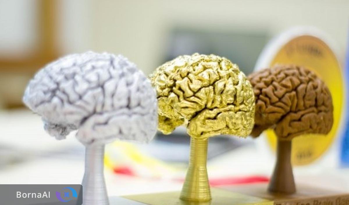 نماینده ایران راهی مسابقات جهانی دانش مغز آمریکا می‌شود