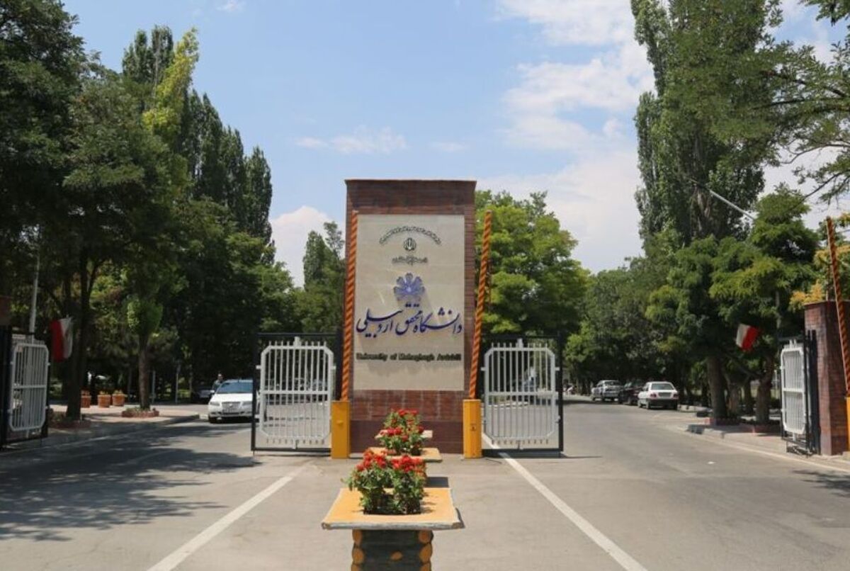 نام ۱۹ پژوهشگر دانشگاه محقق اردبیلی در لیست ۲ درصد دانشمندان برتر دنیا ثبت شد