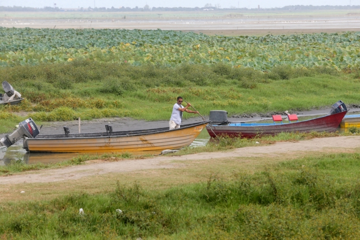 مدیریت پایدار تالاب‌ها/ ضرورت نجات زیست‌بوم‌های در حال زوال ایران