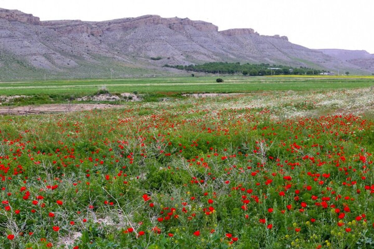 خراسان‌شمالی؛ از گذرگاه مسافران تا مقصدی ماندگار برای گردشگران