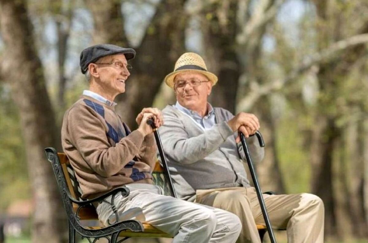 سالمندان سرمایه‌های تجربه و خرد جمعی هستند