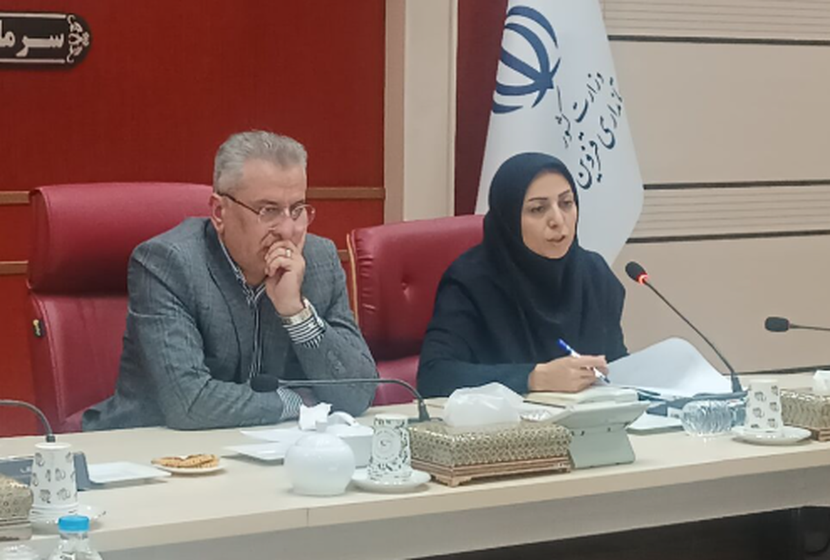  ۵۰۰ عنوان برنامه در هفته تربیت بدنی و پارالمپیک در استان قزوین برگزار می شود