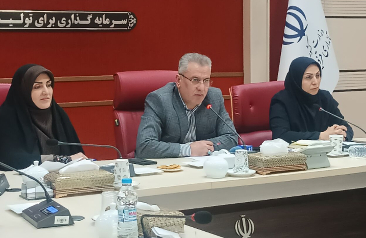 جشن بزرگ ایرانیان در قزوین برگزار می شود/ رویکرد دولت افزایش نشاط اجتماعی است