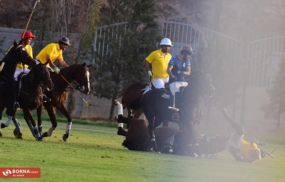 هفته سیزدهم لیگ چوگان