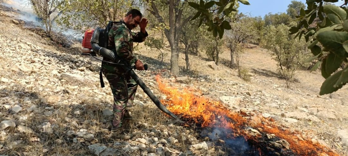 آتش سوزی جنگلها و مراتع آبگرمک بخش کبکیان مهار شد