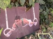 عمران عباسی : حرکت نابخردانه فدراسیون ژیمناستیک در دور انداختن تابلوی قهرمان ارزنده کشورمان موجب دل آرزدگی جامعه ورزشی شد