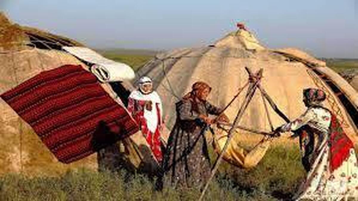 25 درصد گوشت استان یزد توسط عشایر تامین می‌شود