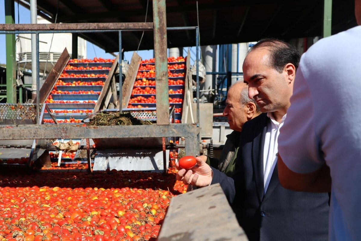 استقبال کشورهای اروپایی و قاره آمریکا از بازارهای صادراتی رب ارومیه