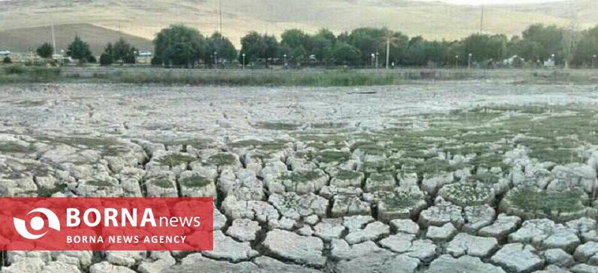 برداشت بی‌رویه آب از سفره‌های زیرزمینی؛ عامل اصلی خشکی سراب نیلوفر
