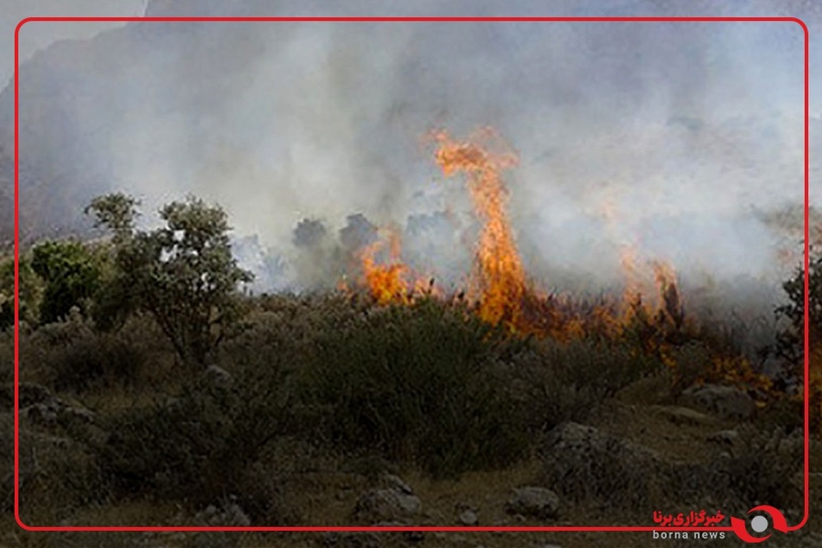 ۸ هکتار از پوشش گیاهی دامنه قله دماوند در آتش سوخت