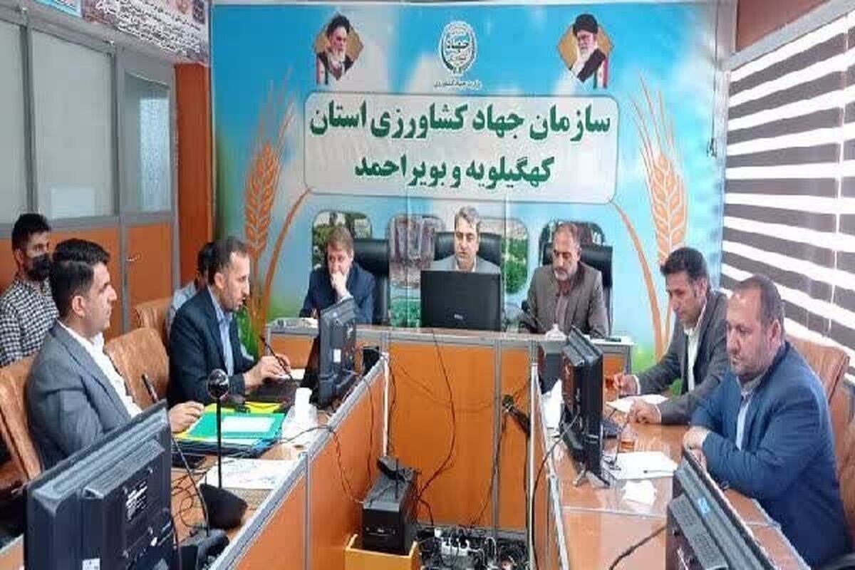 رفع تداخل ۹۰۰ هکتار از اراضی شهرستان‌های بهمئی و بویراحمد