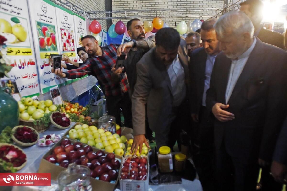 نخستین جشنواره سیب سپیدان برگزار شد / تقویم ملی بوی سیب سپیدان به خود می‌گیرد